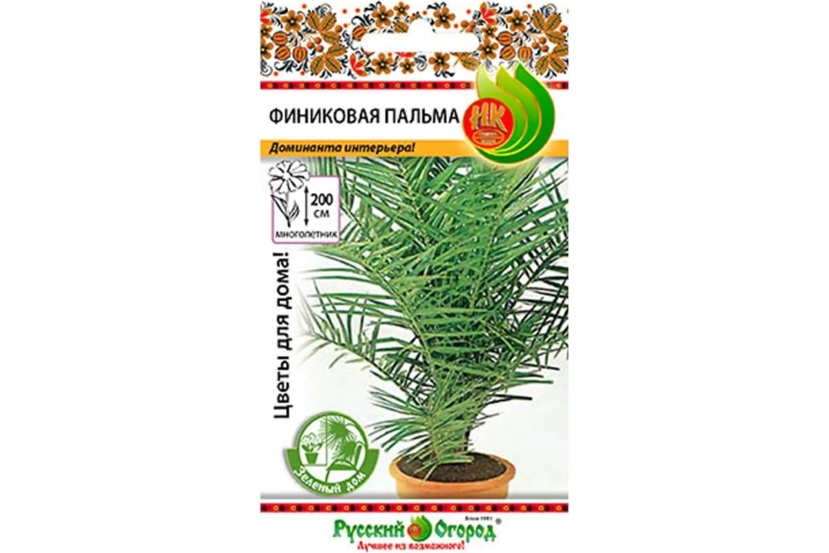 Семена РУССКИЙ ОГОРОД Зеленый дом Пальма Финиковая 5 шт. 733572 - выгодная  цена, отзывы, характеристики, фото - купить в Москве и РФ