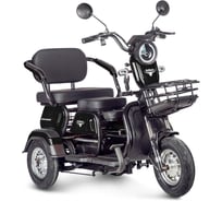 Электротрицикл Бумеранг 60V600W20A/H черный Rutrike 026899-3338