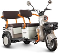 Электротрицикл Rutrike Gelbert Beta 48V/60V 800Вт 0000256-3027