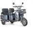Электротрицикл Тубан Rutrike 026351-3247 1