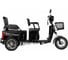 Электротрицикл Тубан Rutrike 026351-3249 2