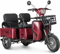 Электротрицикл Тубан Rutrike 026351-3245