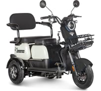 Электротрицикл Rutrike Вега 026352-3254