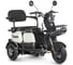 Электротрицикл Rutrike Вега 026352-3254 1