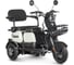 Электротрицикл Rutrike Вега 026352-3254 1