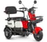 Трицикл Rutrike Вега 026352-3251 1