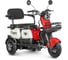 Трицикл Rutrike Вега 026352-3251 1