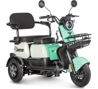 Трицикл Rutrike Вега 026352-3253