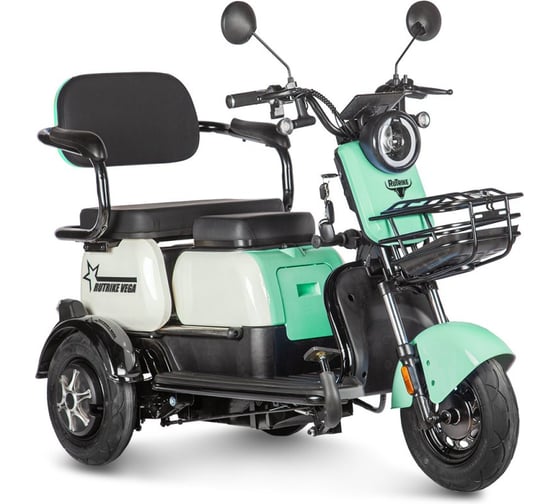 Трицикл Rutrike Вега 026352-3253