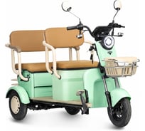 Трицикл Rutrike Атлас 026353-3258