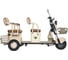 Трицикл Rutrike Атлас 026353-3255 2