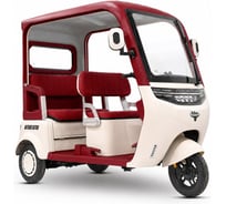 Трицикл Rutrike Астра 026357-3267
