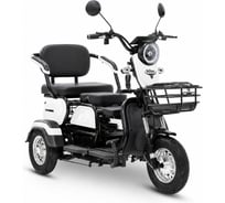 Трицикл Rutrike Бумеранг 022656-3241