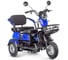 Трицикл Rutrike Бумеранг 022656-3242 1