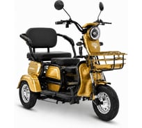 Трицикл Rutrike Бумеранг 022656-3243
