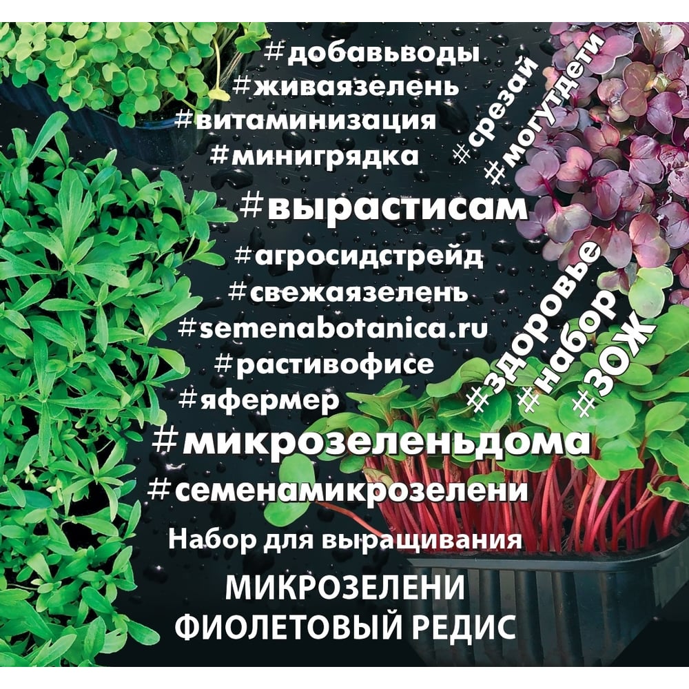  для выращивания микрозелени Агросидстрейд Фиолетовый редис 5.5 г .