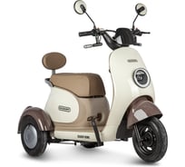 Электротрицикл Rutrike Gelbert Ogma 48V/60V 650Вт 0000252-3120