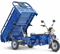 Грузовой электротрицикл Rutrike Титан 2000 ГИДРАВЛИКА 60V1500W синий 021797-2063
