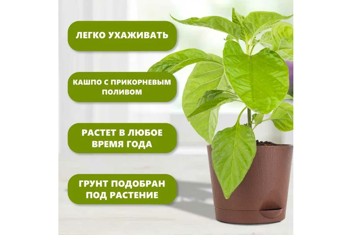 Набор для выращивания растений Plant Republic Три острых перца pr-009 -  выгодная цена, отзывы, характеристики, фото - купить в Москве и РФ