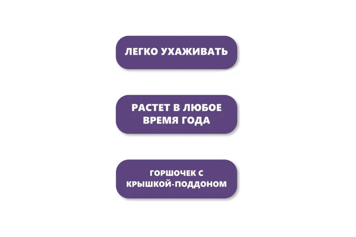 Набор для выращивания растений Вырасти,Дерево! Белая акация zk-076 -  выгодная цена, отзывы, характеристики, фото - купить в Москве и РФ