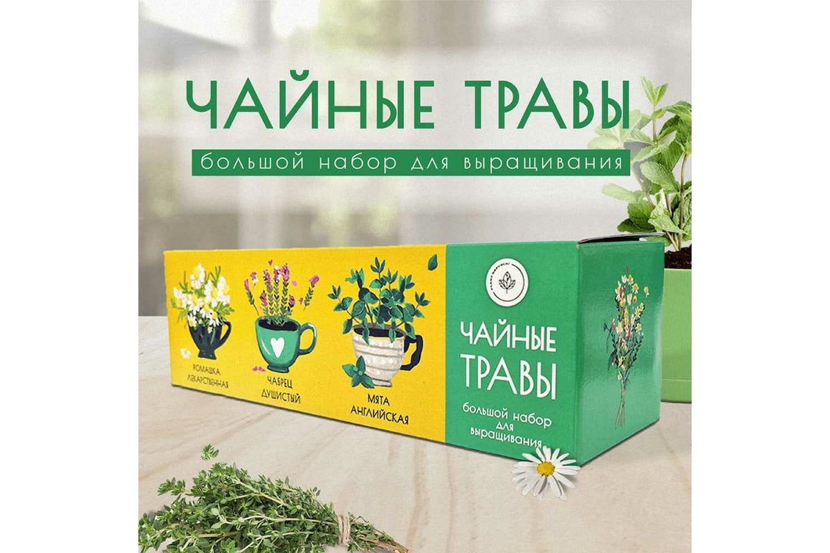 Набор для выращивания растений Plant Republic Чайные травы pr-021