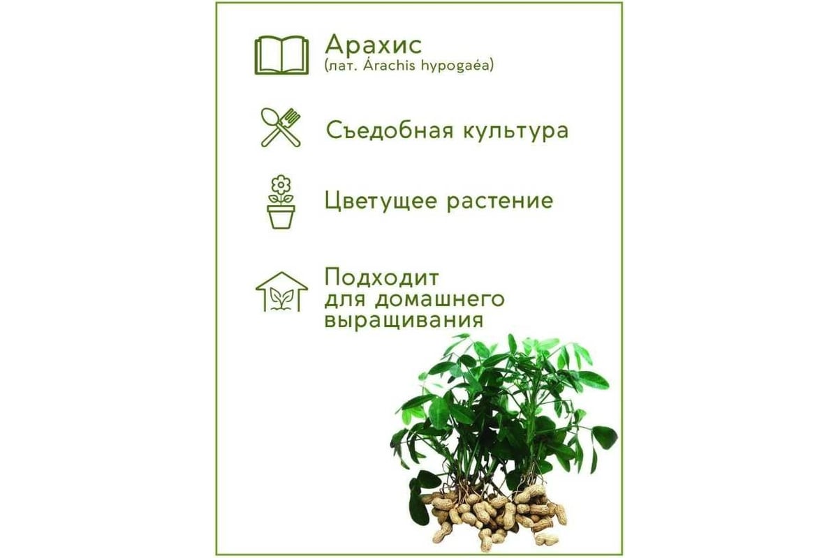 Набор для выращивания растений Тысяча Листьев Арахис tl-015 - выгодная  цена, отзывы, характеристики, фото - купить в Москве и РФ