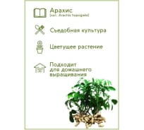 Набор для выращивания растений Тысяча Листьев Арахис tl-015