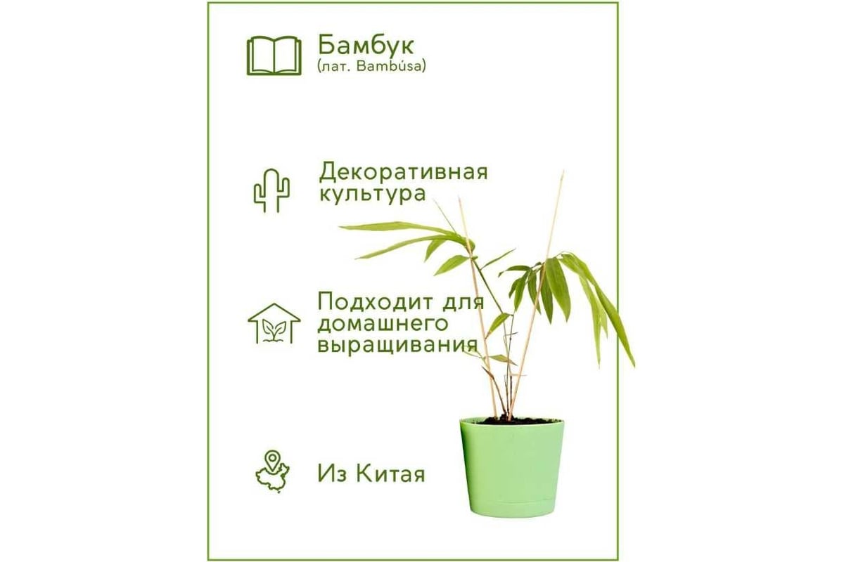 Освоение бамбуковых палочек: важные советы по резке и сушке для вашего следующего проекта