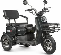 Трицикл Rutrike Патрон черный 023260-2479