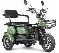 Трицикл Rutrike Пилот зеленый 023259-2471