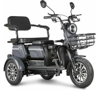 Трицикл Rutrike Пилот серый 023259-2473