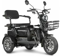 Трицикл Rutrike Пилот черный 023259-2474