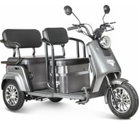 Трицикл Rutrike Топик серый 023258-2468