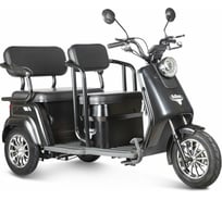 Трицикл Rutrike Топик черный 023258-2469