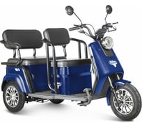 Трицикл Rutrike Топик синий 023258-2584