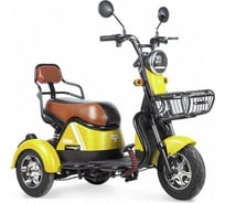 Трицикл Rutrike Шкипер желтый 022660-2359