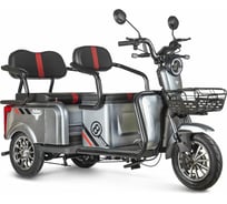 Трицикл Rutrike Экипаж серый 022469-2482
