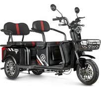 Трицикл Rutrike Экипаж черный 022469-2483