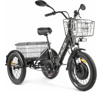 Трицикл GREEN CITYe-ALFA Trike черный-2515  023322-2515