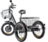 Трицикл GREEN CITY e-ALFA Trike темно-серый-2585 023322-2585 15