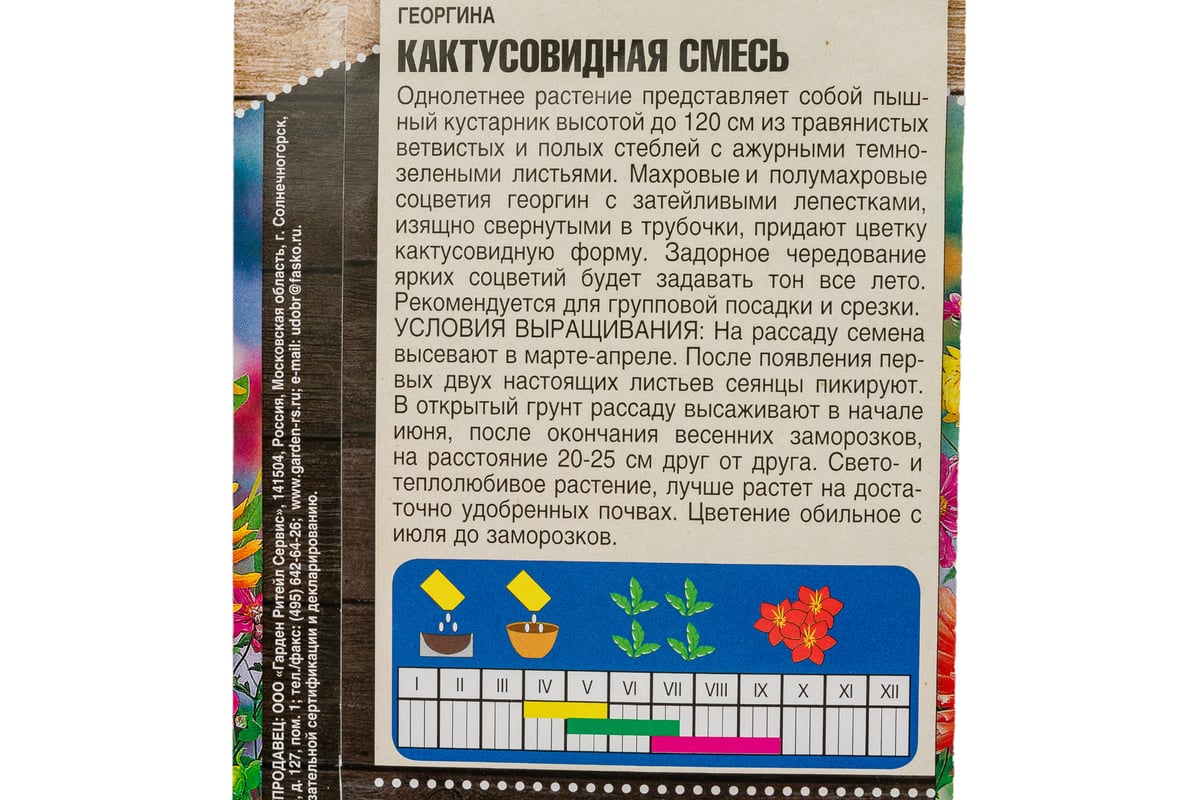 Семена Тимирязевский Питомник цветы георгина Кактусовидная смесь 0.2 г  Of000096604 - выгодная цена, отзывы, характеристики, фото - купить в Москве  и РФ