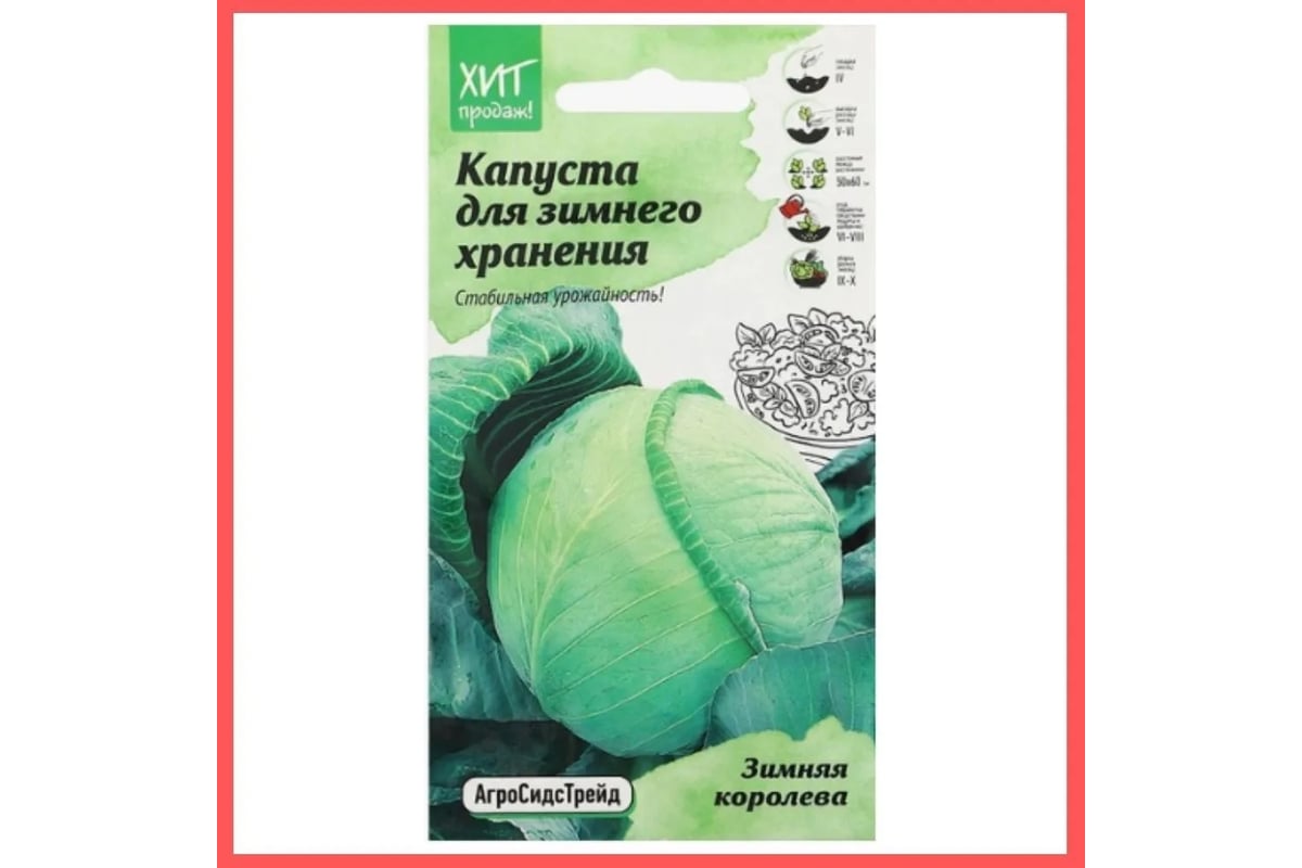 Белокочанная капуста Агросидстрейд Зимняя королева 0,3 г АСТ 126390