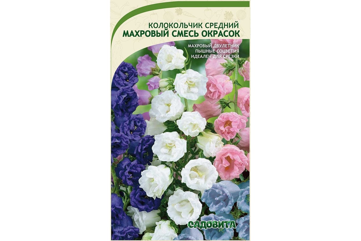 Семена Садовита Колокольчик Махровый смесь окрасок средний 0.1 г 00222514 -  выгодная цена, отзывы, характеристики, фото - купить в Москве и РФ