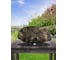 Чехол для гриля Tplus Weber Q100/1000 640x380x230 мм оксфорд 600 нато T023653 3