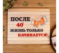 Сидушка Добропаровъ После 40... 32x39см 3543379