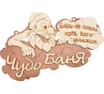 Табличка Банные штучки Чудо баня 29х18 см, береза 32326