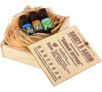 Набор эфирных масел Банные Штучки Билет в баню 32158