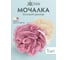 Мочалка-бант для душа Банные Штучки "Гигант", d-15 см, 80 г, soft, 2 цвета (жемчужный, пудровый), для бани и сауны 33419 2