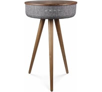 Портативная акустика Rombica Mysound Woody Q 88W Qi BT-S012