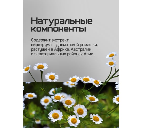 Пластины от комаров РАПТОР BIO с экстрактом ромашки 12634 D2128M